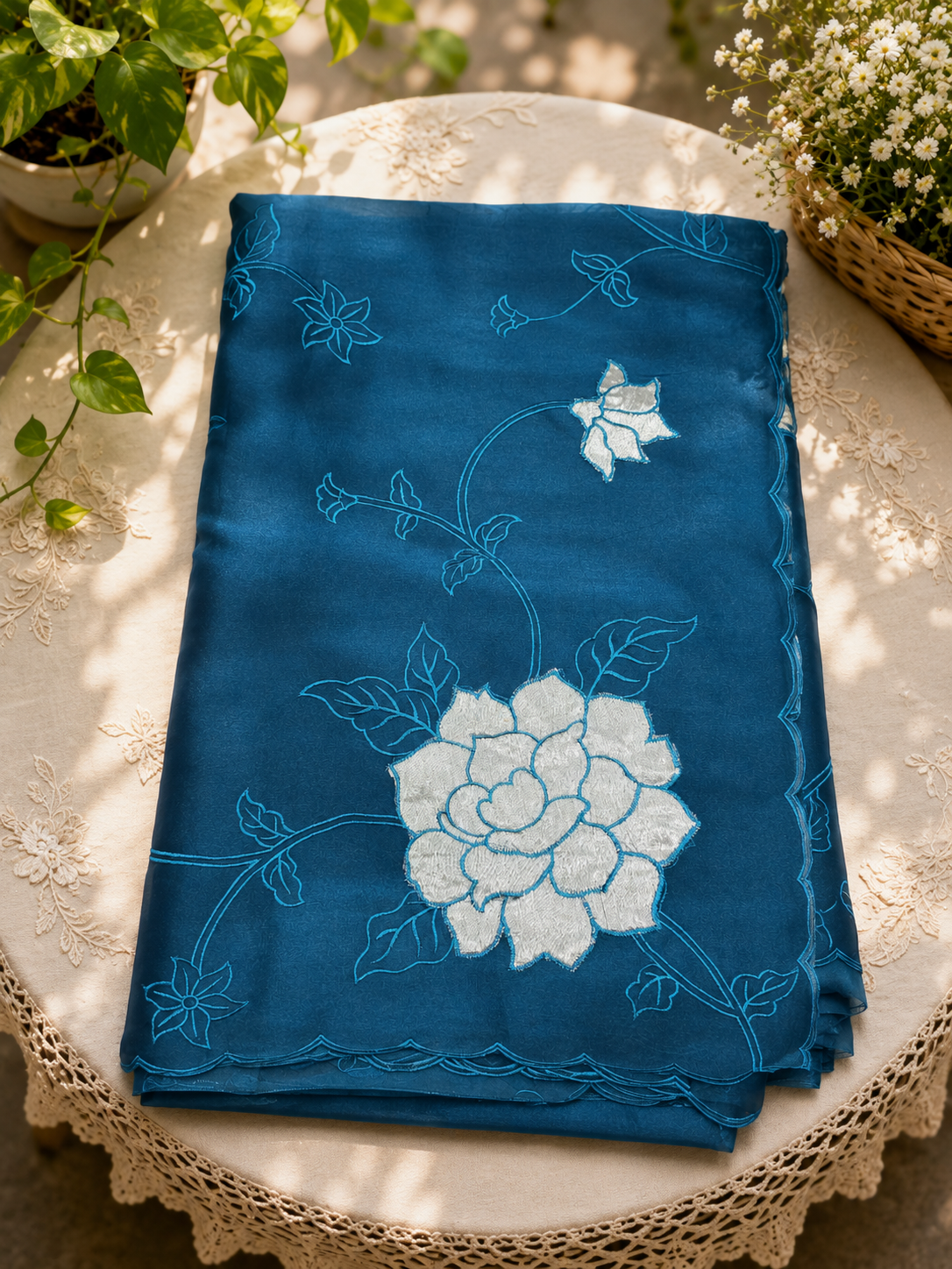 Organza Saree